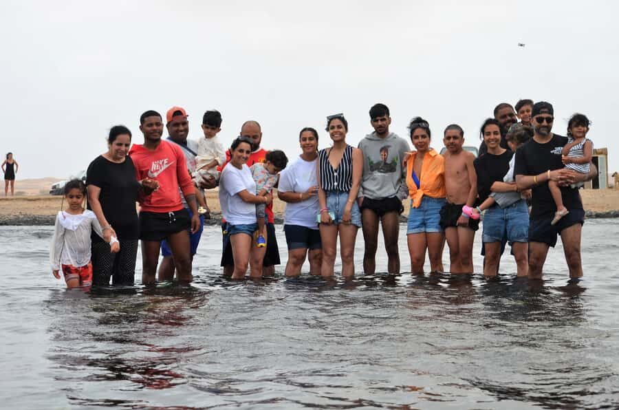 From Sal Island: Blu eye, Salt lake, Lemon Sharks & Palmeira - Shark Bay lemon sharks: how to do the wade right