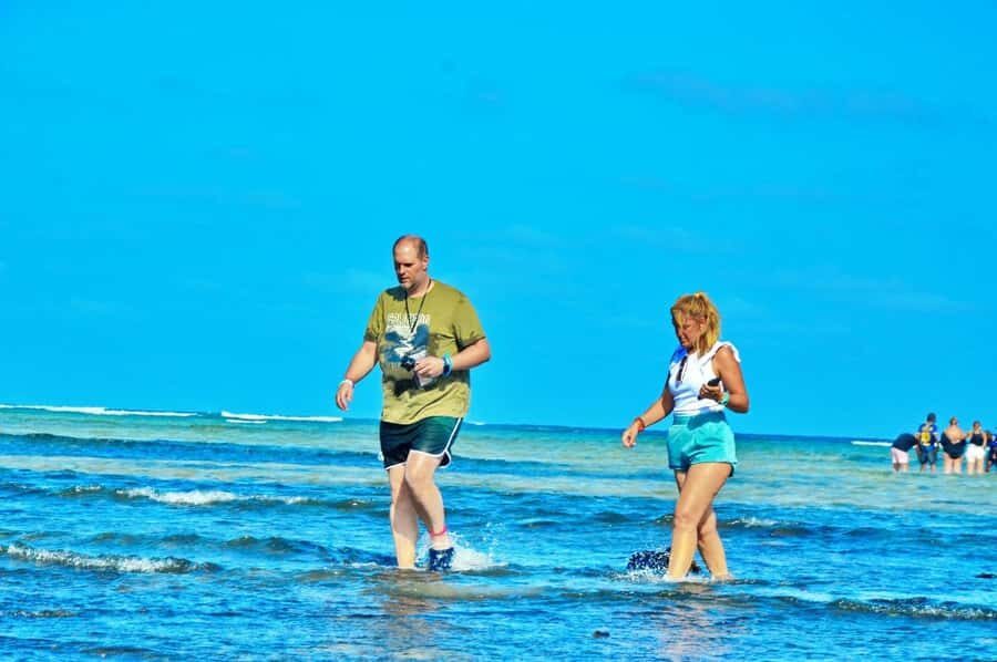 From Sal Island: Blue Eye, Salt Lake, Lemon Sharks, Palmeira - Lemon sharks, Blue Eye, and floating salt—how this day feels