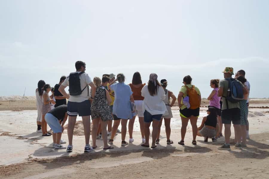 From Sal Island: Blue Eye, Salt Lake, Lemon Sharks, Palmeira - Key things to know before you go