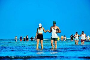 From Sal Island: Blue Eye, Salt Lake, Lemon Sharks, Palmeira - Pickup and timing: how to plan your day on Sal