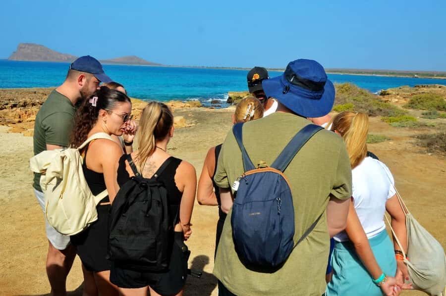 From Sal Island: Blue Eye, Salt Lake, Lemon Sharks, Palmeira - Parda Bay in Shark Bay: the lemon shark moment