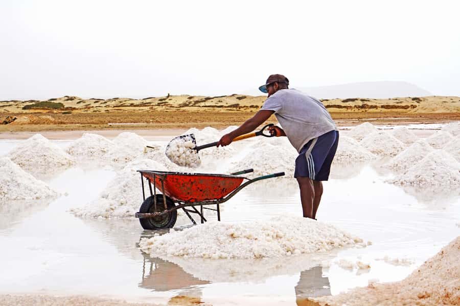 From Santa Maria: Sal Island Private Day Trip - Comfort and transport: the rough-road reality
