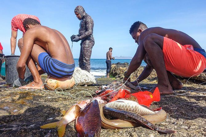 Full Day Island Tour, Highlights of São Vicente - Fish and Produce Markets: Where You Really See São Vicente Food Culture