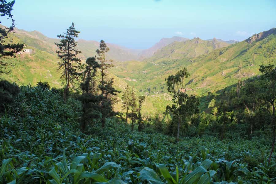 Full-Day Santiago – Villages, Nature & Local Culture - Rabelados village: traditions shaped by resistance
