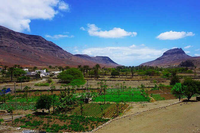 Full-Day São Vicente Island Experience with a Local Guide - Monte Verde Natural Park: island-wide views and twisty roads