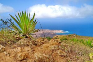 Full-Day Tour of Sao Vicente from Mindelo - Salamansa: fishermen villages and the north-coast rhythm