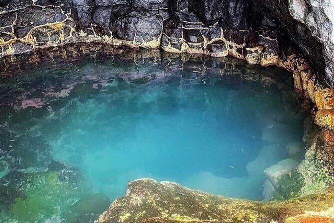 Full-day tour - Salt Mine, Blue Eye, Shark Watch and Kite Beach - Time, weather, and small-group pace