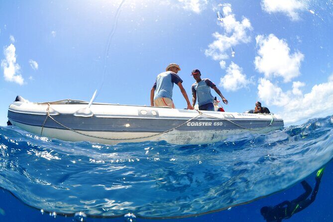 Half-Day Diving in Sal - Safety and guidance: why the small group matters