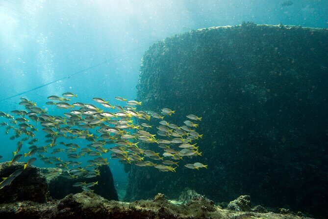 Half-Day Diving in Sal - Price and value: what $109.34 covers (and what’s extra)
