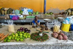 Half Day Island Tour, Sao Vicente, 4h - Mindelo’s Cultural Starts: Galleries, a Pirate Fort, and a Tower Replica
