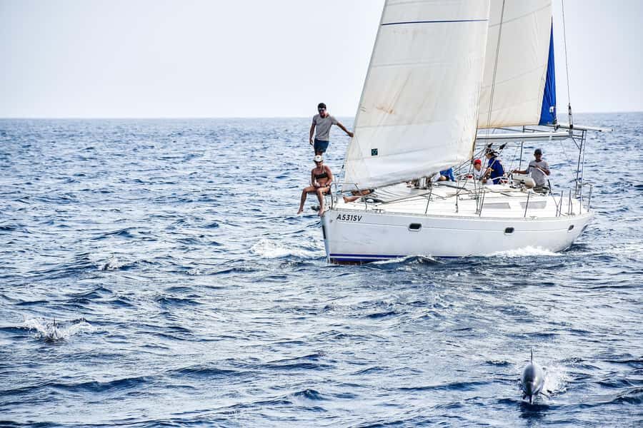 Half-Day Sailing Yacht Adventure in Sal Island - 3 hours - Key things that make this sailing trip worth your time