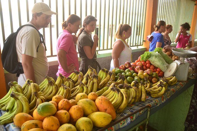 Half-Day Sal Island Tour with Shark Experience from Santa Maria - The Serra Negra black mountain stop: a moon-like view and turtle-season beaches