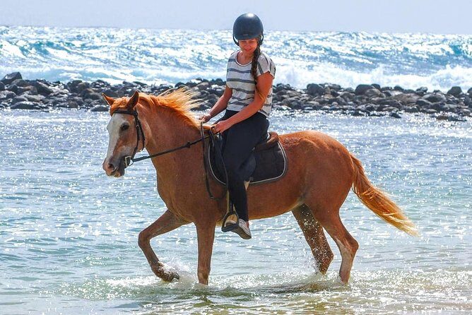 Horse Riding in Sal Island - Cabo Verde - Key Highlights You’ll Care About