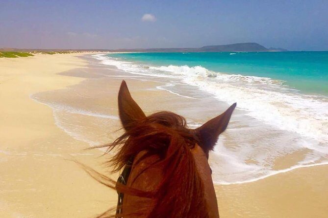 Horse Riding in Sal Island - Cabo Verde - The Route You’ll Actually Ride: Salt Mines, Dunes, and Kite Beach