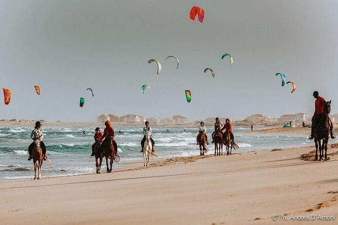 Horse Riding in Sal Island - Cabo Verde - Horse Matching and Guide Support: Beginner-Friendly, With One Caveat