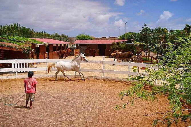Horse Riding in Sal Island - Cabo Verde - Practical Comfort Stuff: Bum Bags, Lockers, and What to Watch