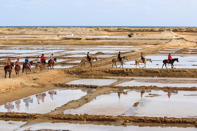 Horse Riding in Sal Island - Cabo Verde - From Hotel Pickup to the Stables in Botanical Gardens Viveiro