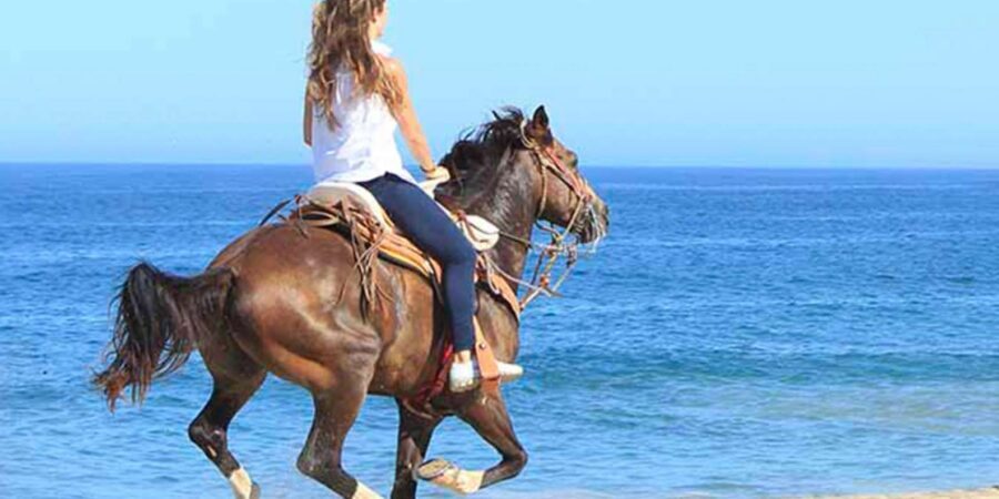 Horseback riding in Boavista for beginners - Quick take: what matters on this ride