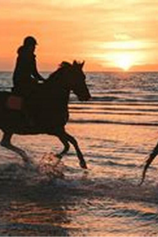 Horseback riding in Boavista for beginners - Why this beginner horseback ride works on Boa Vista