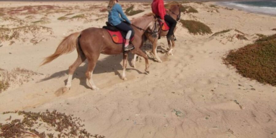Horseback riding in Boavista for beginners - Kapverden Tours: how the operator style shows up on the ground