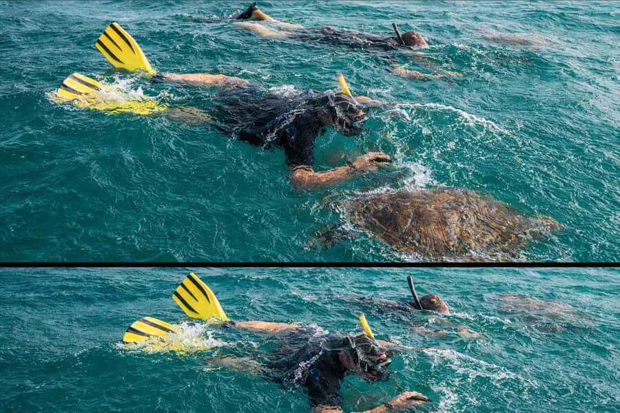 Ilha Do Sal: Snorkeling with Local Guide - Getting set up on the day: what you’ll notice first