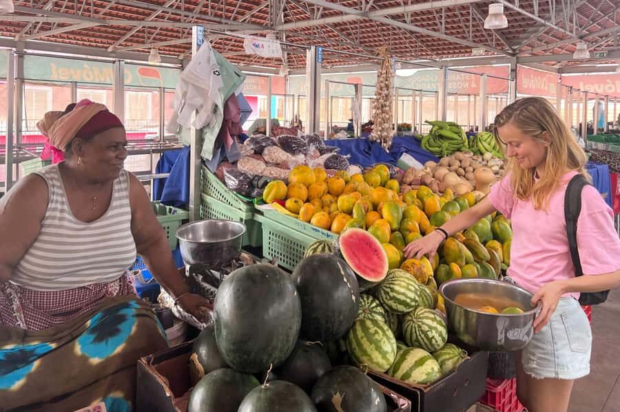 Island tour with German-speaking guide for cruise guests - Santa Cruz District and Praia: Finishing with Local Life
