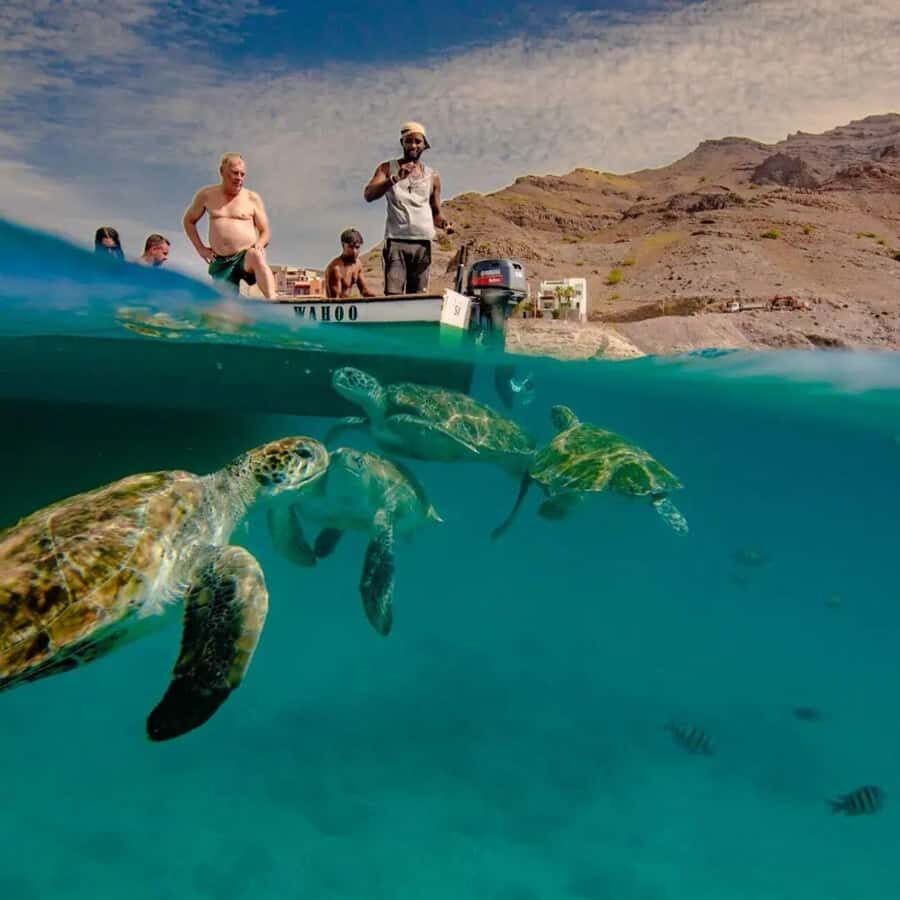 Live Snorkeling & Swimming with Sea Turtles in the Atlantic - What you’ll actually see: turtles up close, and maybe other visitors