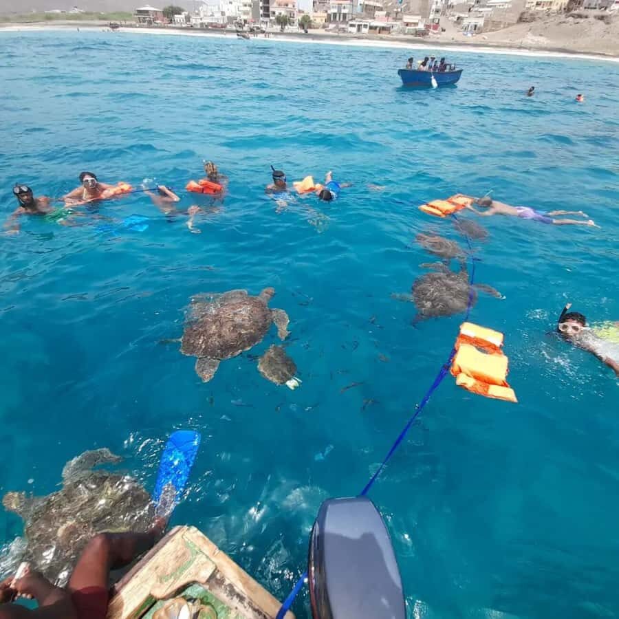 Live Snorkeling & Swimming with Sea Turtles in the Atlantic - The main things to consider before you book
