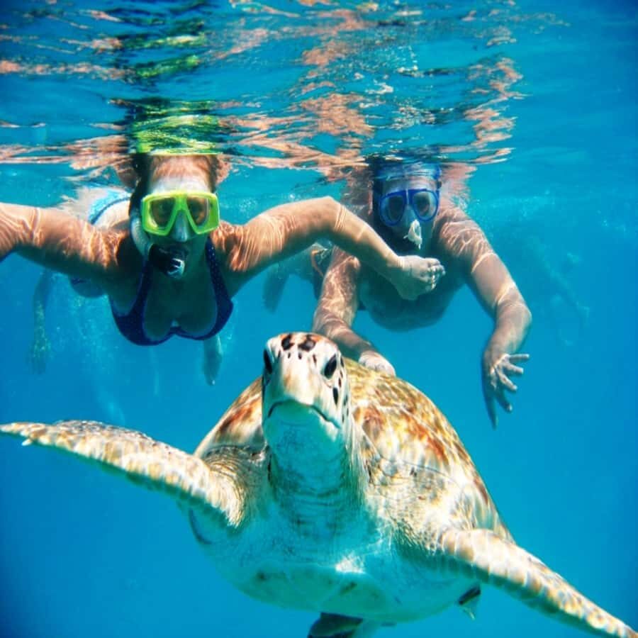 Live Snorkeling & Swimming with Sea Turtles in the Atlantic - How the 1-hour tour typically runs (and what each step is really for)