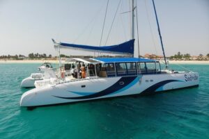 Lounge Catamaran SODADE Half-Day (Adults Only) - Port of Palmeira: a quick taste of Cape Verde’s fishing harbor life