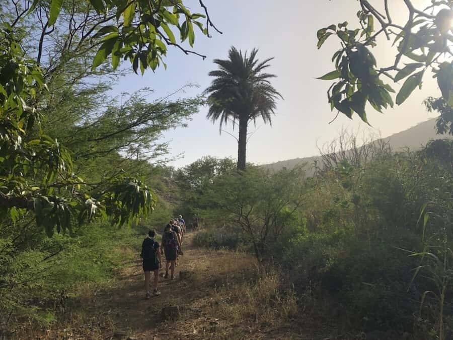 Praia: Baobab Mysterious Tree, Green Valley & Old City Hike - Who should book this Santiago hike, and who should skip it