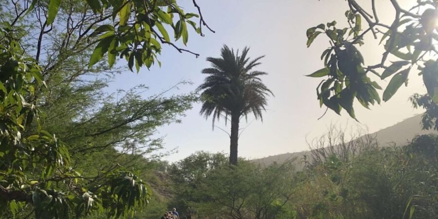Praia: Baobab Mysterious Tree, Green Valley & Old City Hike - Grogue and local daily life: learning what you’re walking through