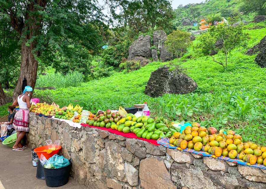 Praia: Santiago Island Tour with Tastings and Tarrafal Beach - The return drive: volcanic slopes, palms, and agriculture photo stops