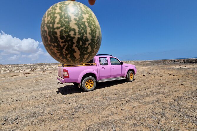 Private Creative Pictures Full Day Island Tour (Off Road inc.) - Espargos Lunch Break: Where Color Meets Practical Fuel