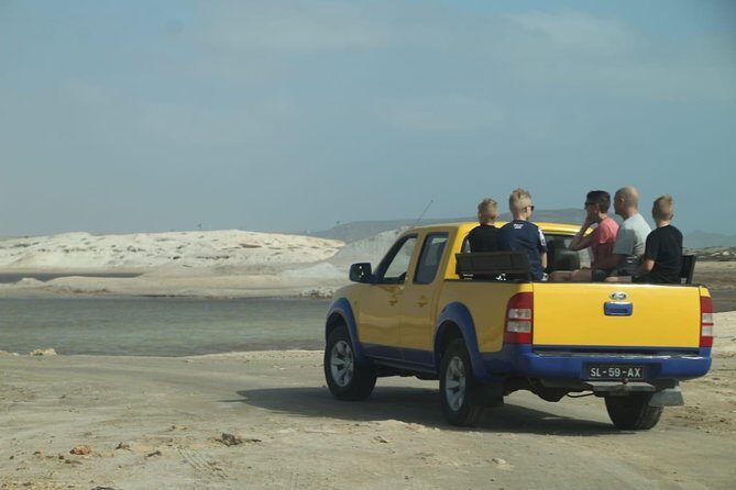 Private Sal Island Tour Authentic Experience from Santa Maria - Shark Bay lemon sharks: close viewing with respect and safety in mind