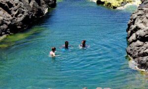 Sal: All inclusive Salt Lake, Natural pools and Shark Bay - Shark Bay lemon sharks: what to expect and how to prepare