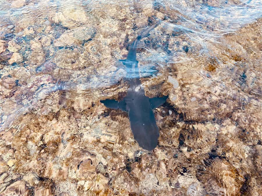 Sal: All inclusive Salt Lake, Natural pools and Shark Bay - Miragem and Murdeira Bay: the desert illusion break