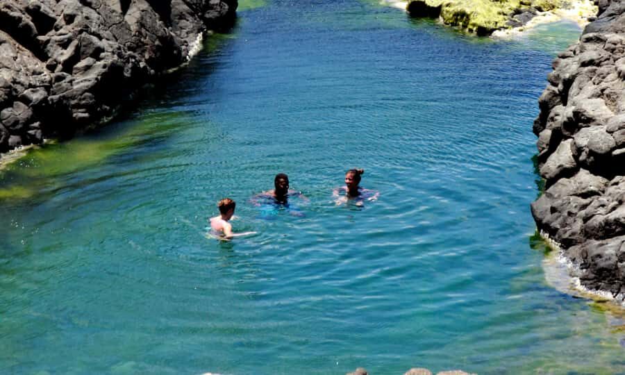 Sal: All inclusive Salt Lake, Natural pools and Shark Bay - Shark Bay lemon sharks: what to expect and how to prepare