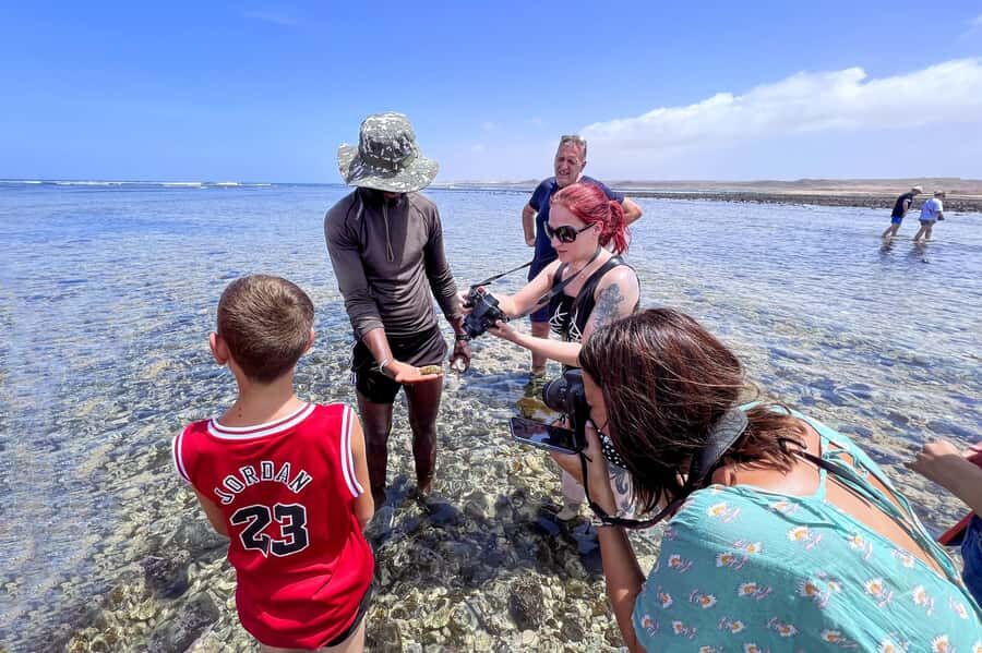 Sal Discovery: A Guided Small Group Island Tour - Shark Bay with lemon sharks: bring water shoes and take it slow