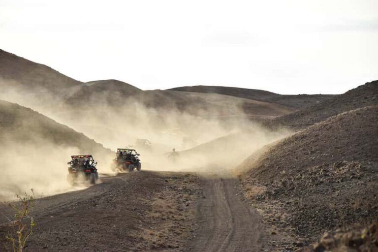 Sal Island: 2-Hour Buggy Desert Adventure - Santa Maria pickup to the office: quick setup, real requirements