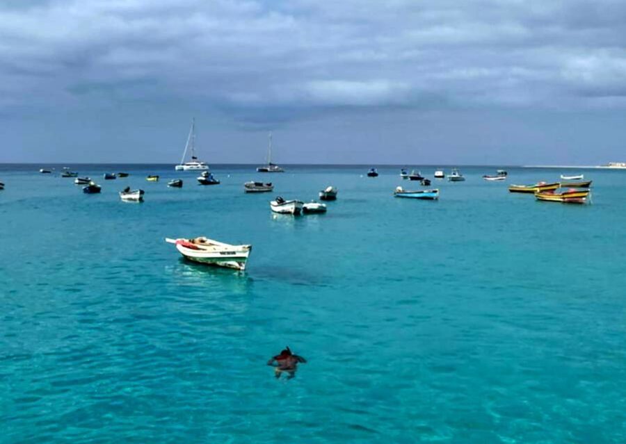 Sal island: Santa Maria city tour, street art and tapas - Pontão: Where Salt-Export History Meets Fresh Fish Day