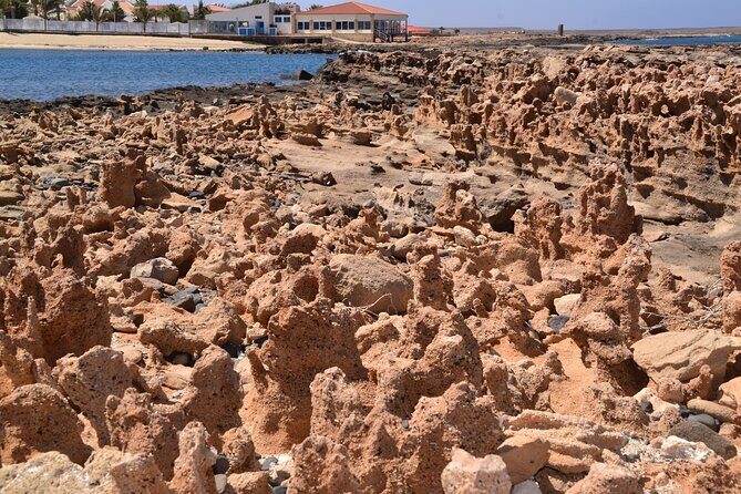Sal Island Tour Off-Road by Jeep - Stop 3: Port of Palmeira, the fishing village feel