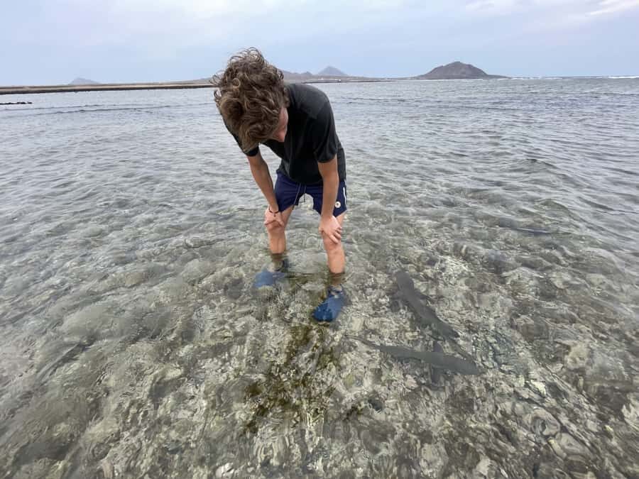 Sal: Lemon Shark Bay and Pedra de Lume Salt Lakes Tour - Pedra de Lume Salt Lakes: Floating in a Natural Pool Made by the Salt Mines