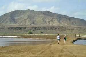 Sal: Lemon Shark Bay and Pedra de Lume Salt Lakes Tour - The 3-Hour Flow: How the Half-Day Rhythm Actually Works