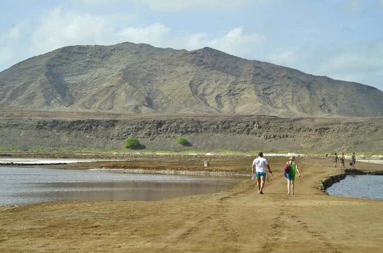 Sal: Lemon Shark Bay and Pedra de Lume Salt Lakes Tour - The 3-Hour Flow: How the Half-Day Rhythm Actually Works