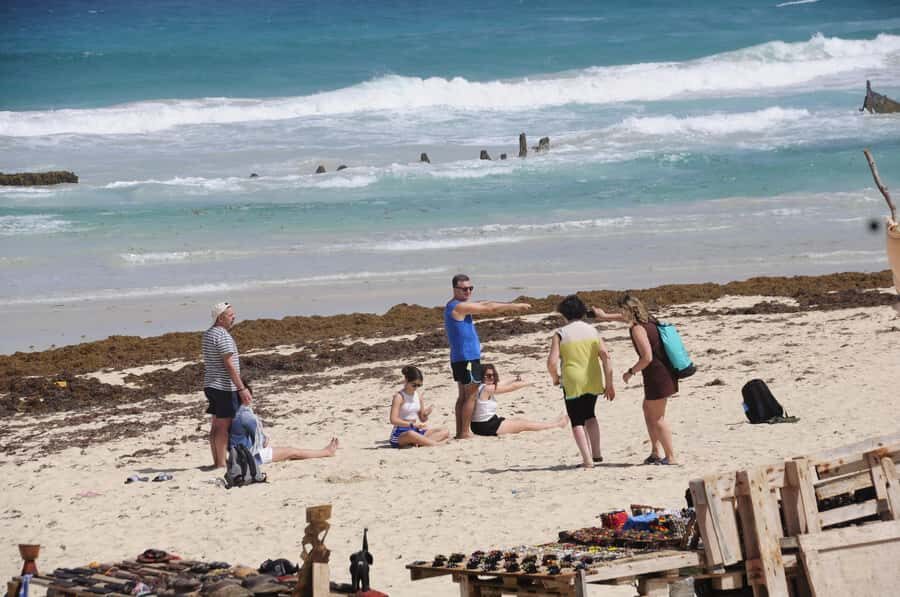 Sal Rei: Boa Vista Island Full-Day North to South Discovery - A North-to-South Boa Vista Circuit That Actually Feels Like the Island