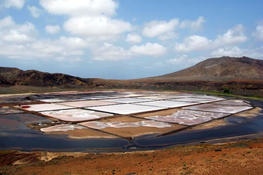 Salt Pans & Lemon Sharks Experience - Who should book Salt Pans & Lemon Sharks