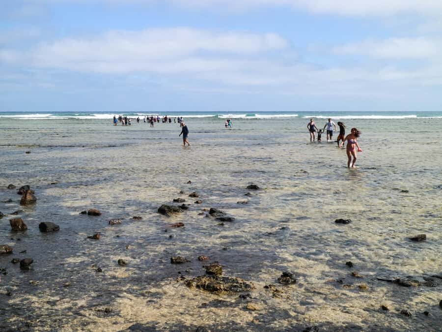 Salt Pans & Lemon Sharks Experience - Private 4x4 pickup and a 3-hour rhythm that works
