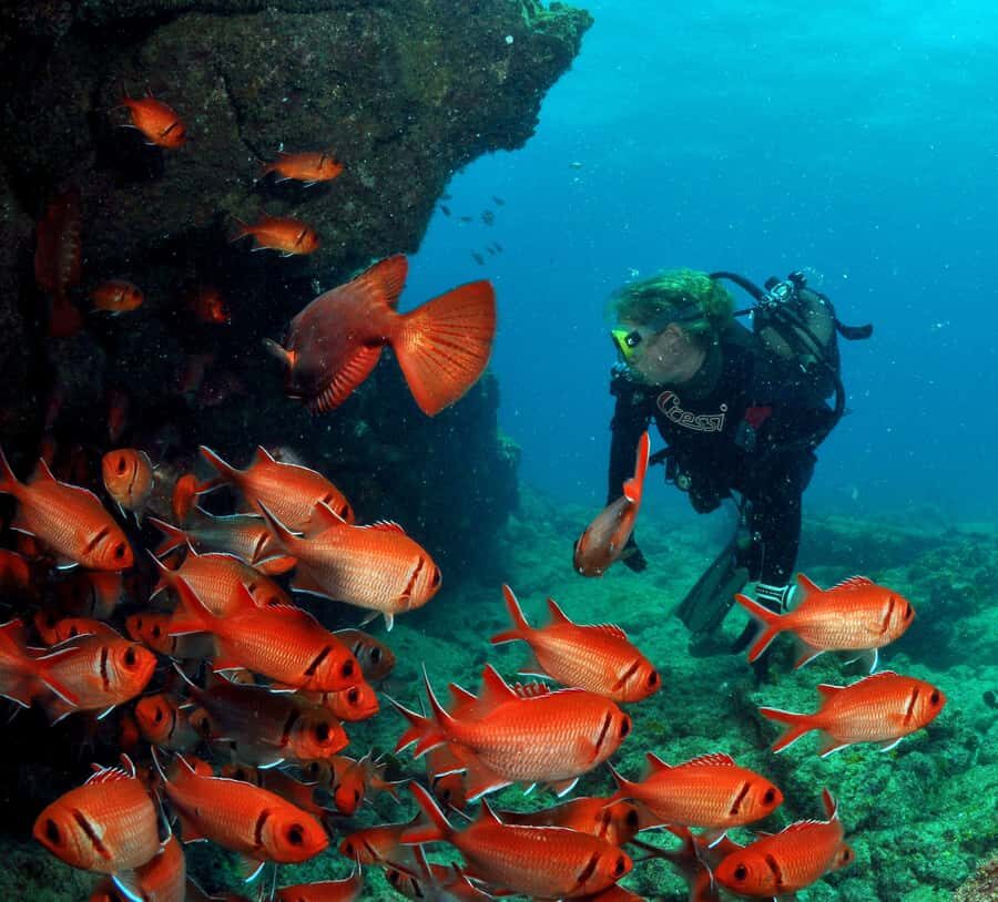Santa Maria: Discover Scuba Diving - Santa Maria First-Timer Tank Day: A Simple Way to See Cape Verde