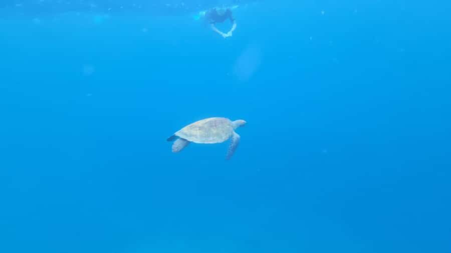 Santa Maria: Snorkeling Boat Tour - Equipment and safety: the difference between nervous and confident